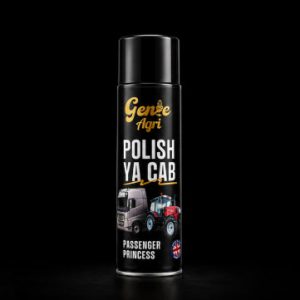 Polish Ya Cab